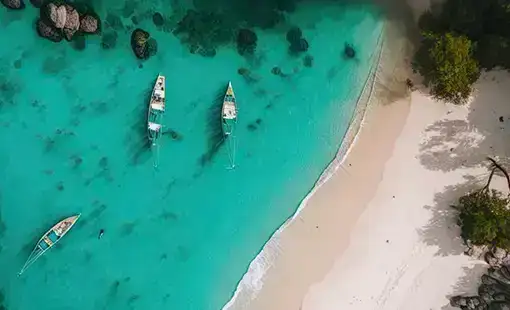 Hoabl Gulf Of Goa Hoabl Gulf Of Goa